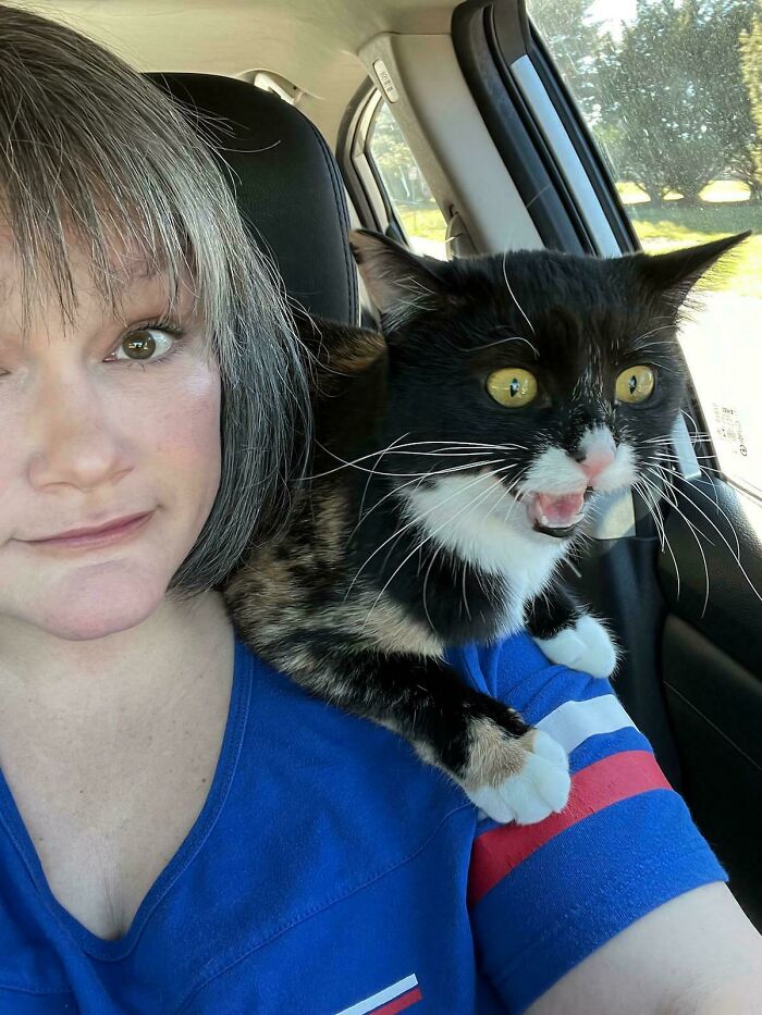 A woman inside a car with a startled-looking black and white cat perched on her shoulder.