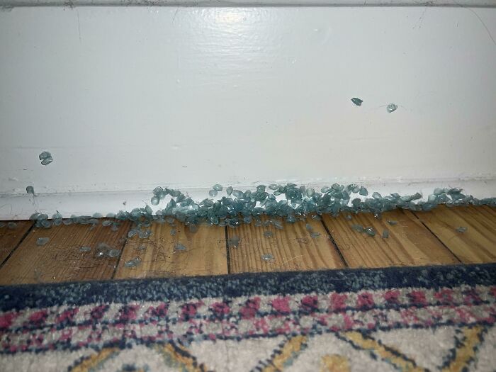 Blue decorative beads scattered along a floor trim, highlighting cute or unhinged things wives do.