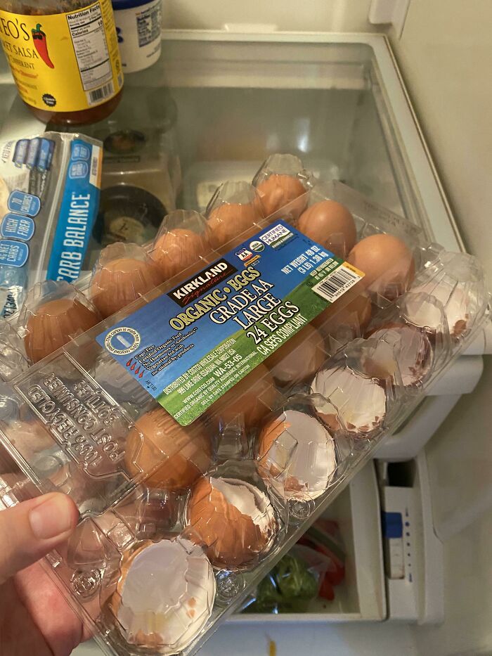 Egg carton with empty shells inside a refrigerator, showing unhinged things wives do.