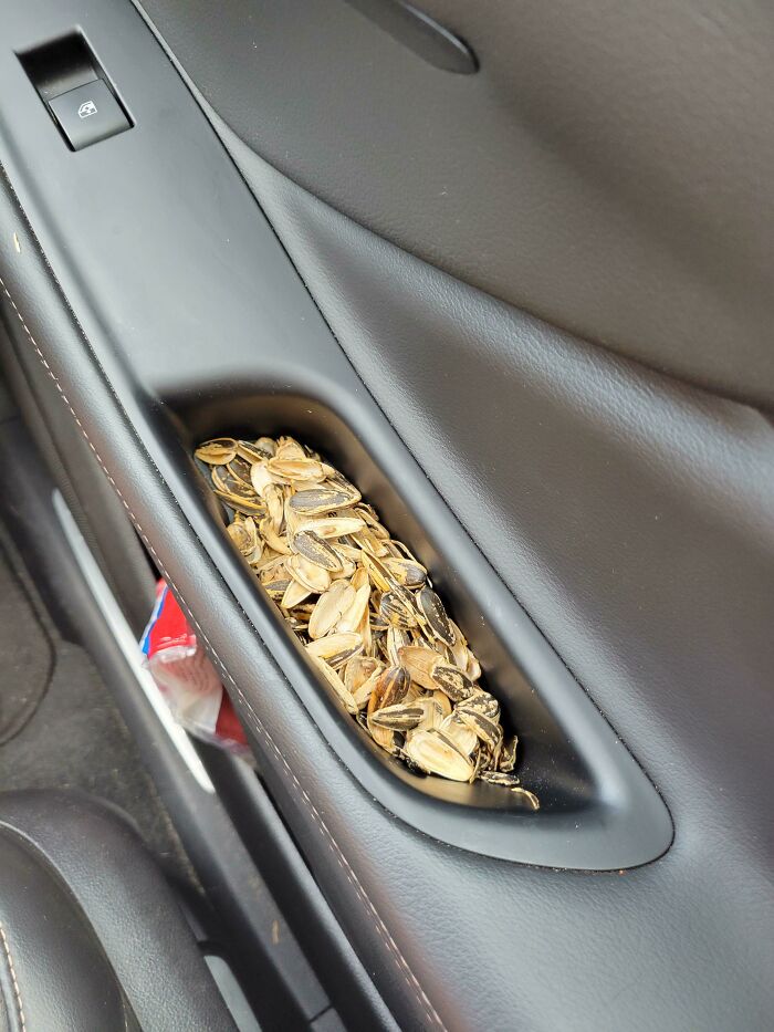 Sunflower seed shells piled in a car door handle, highlighting ridiculous things wives do.