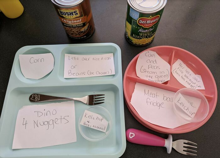 Blue and pink plates with notes for meal prep, showing cute things wives do