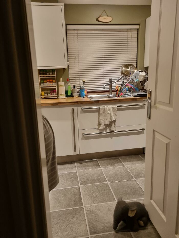 A messy kitchen counter with a tiny stuffed elephant doorstop, showing funny things wives do
