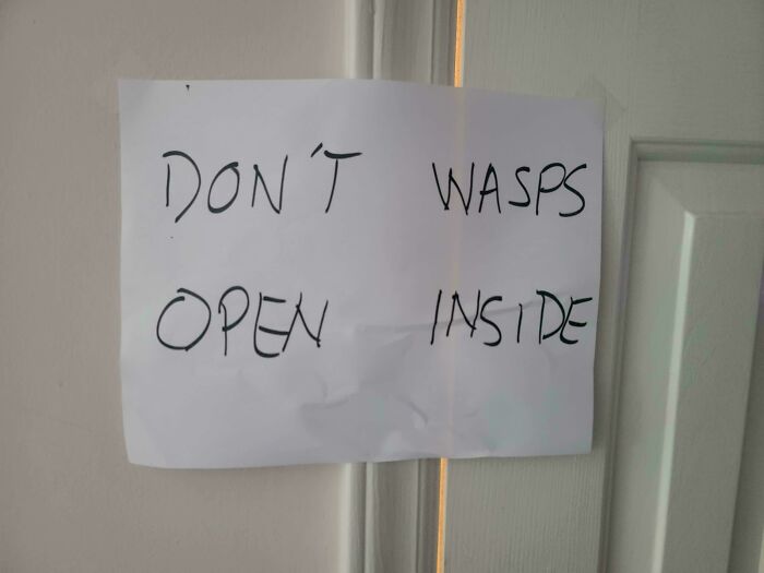 Paper sign with confusing formatting reading DON'T WASPS OPEN INSIDE, a hilarious badly designed sign on a door.