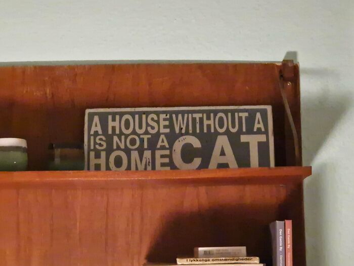 A wooden home decor plaque with badly designed signs showing mismatched text placement about houses and cats.