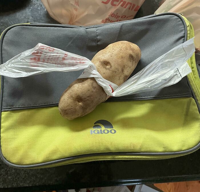 Single raw potato sitting on a grey and yellow lunchbox, showing cute things wives do.