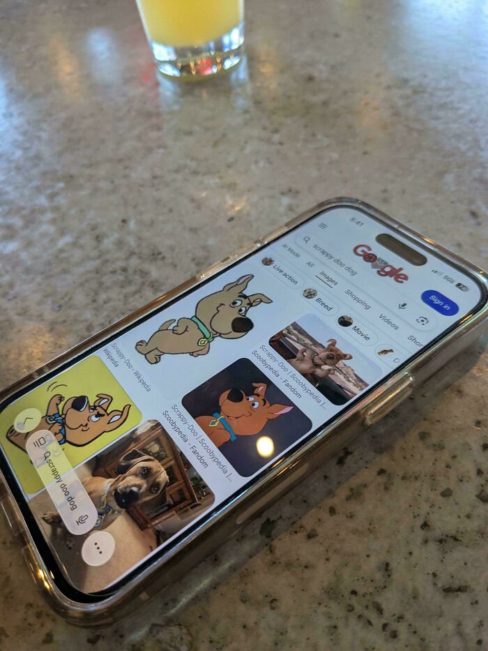 A smartphone displaying a Google search for Scrappy-Doo, showcasing cute things wives do.