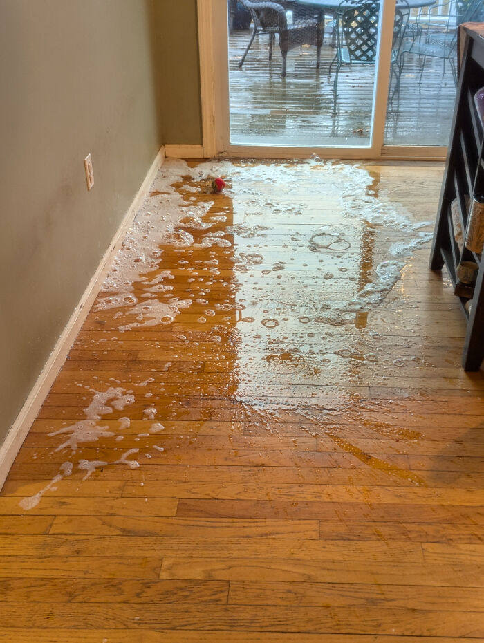 Soapy water spilled across a wooden floor, highlighting a messy mishap in the house.