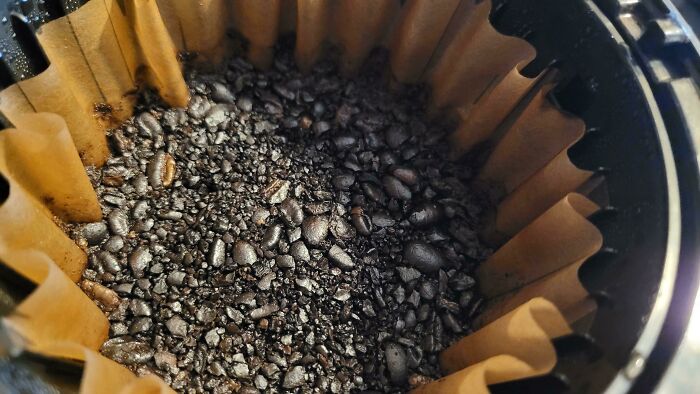 Whole unground coffee beans in a coffee filter, illustrating funny things wives do.