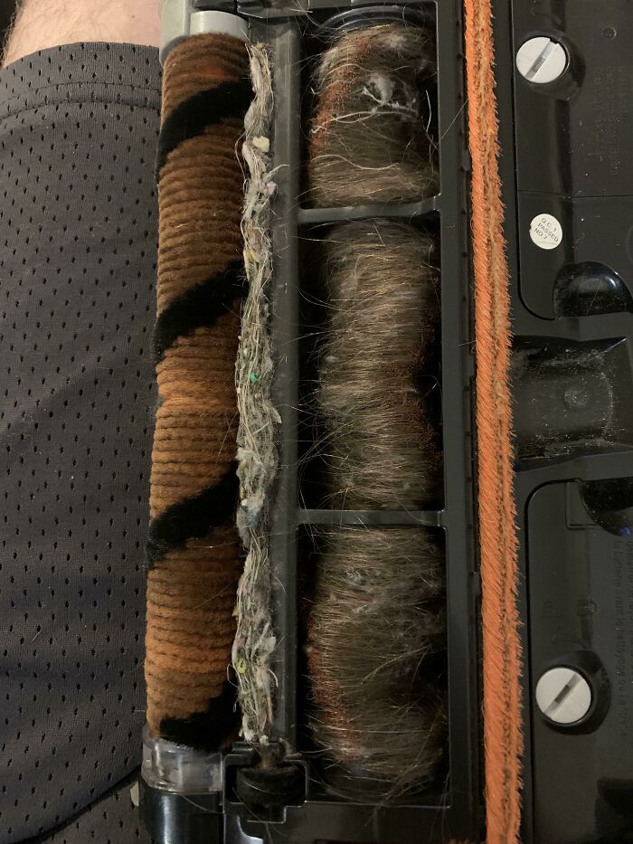 A vacuum cleaner roller brush heavily clogged with hair, highlighting funny things wives do.