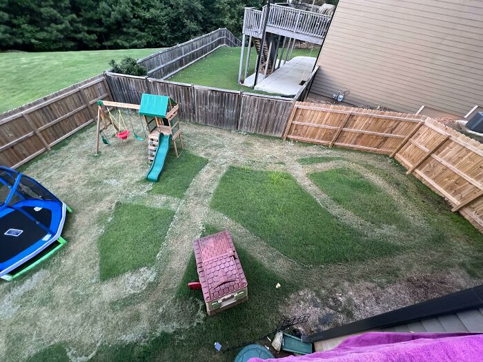 An overhead view of a backyard lawn with unevenly mowed patches showcasing husbands venting about wives.