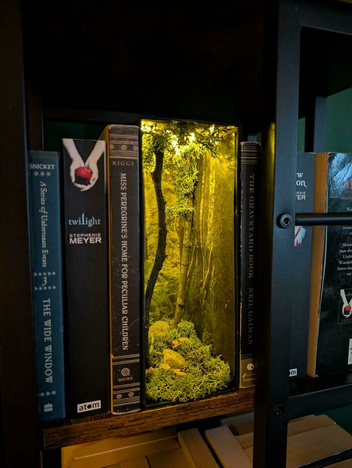 A forest-themed book nook with moss, miniature trees, and a warm yellow light nestled between books on a shelf.