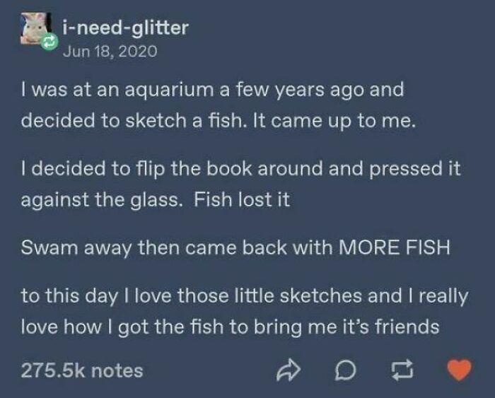 Tumblr story about sketching fish at aquarium that attracted more fish