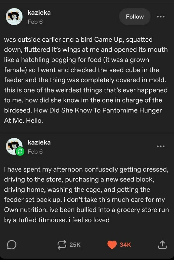 Tumblr post about a bird mimicking hunger and influencing its owner's behavior