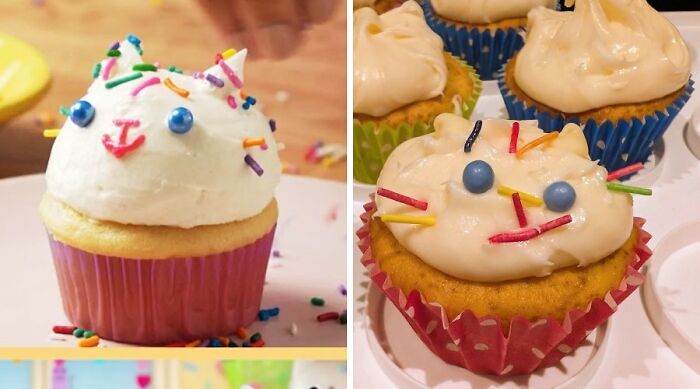 Cat cupcake with sprinkles versus poorly decorated failed cupcakes