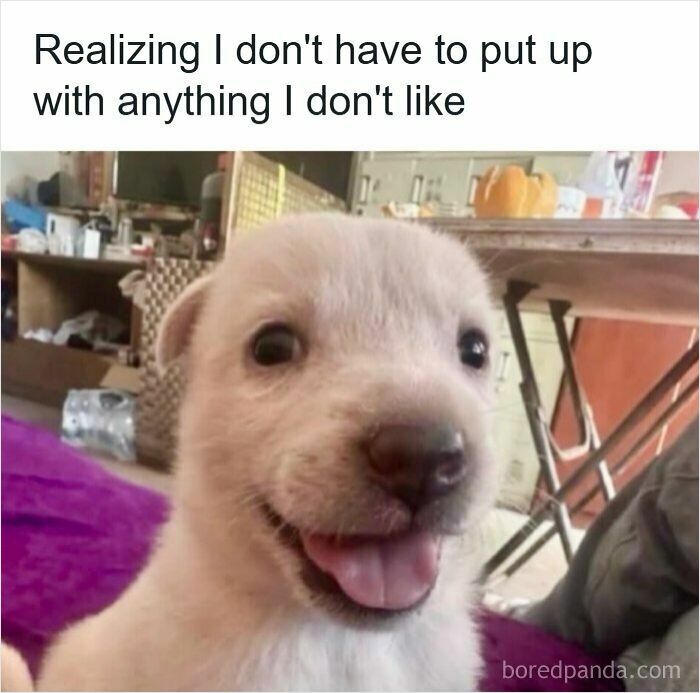 Happy smiling puppy with a funny caption about life, perfect for ridiculous memes.