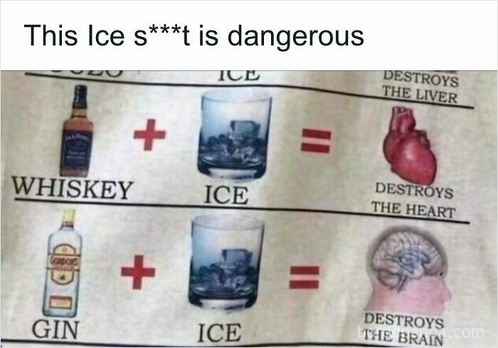 Hilariously ridiculous memes about whiskey and gin with ice destroying organs