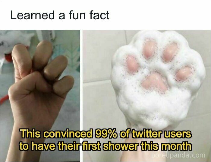 Hilariously ridiculous memes showing how to make a cat paw shape with soap bubbles in the shower