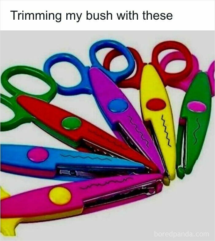 Colorful decorative edge scissors with a funny text, great for ridiculous memes.