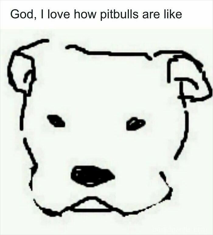 A simple line drawing of a dog face representing pitbulls in ridiculous memes about pets