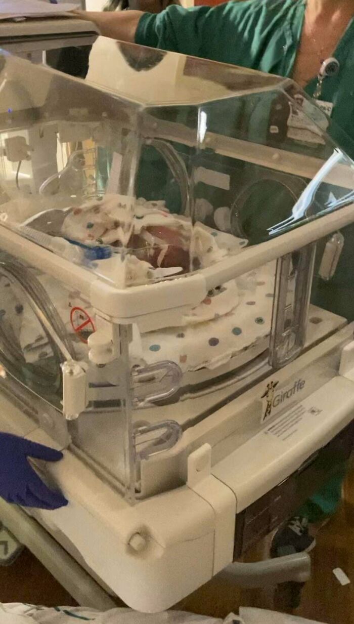 A newborn resting inside a hospital incubator, depicting wholesome dads welcoming their new baby.
