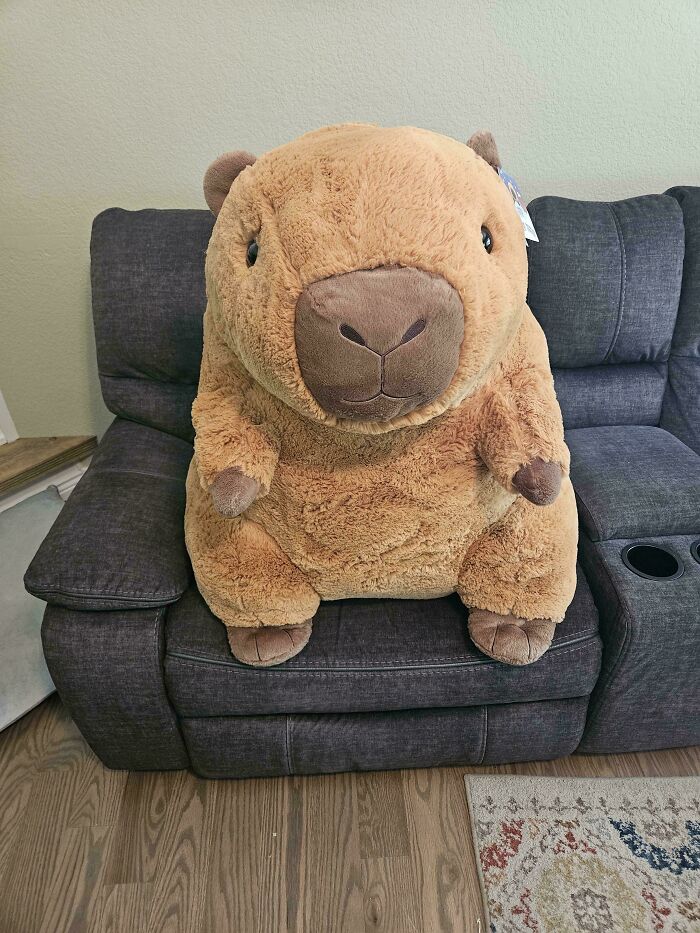 A large stuffed capybara sitting on a sofa illustrating wholesome fatherhood gifts