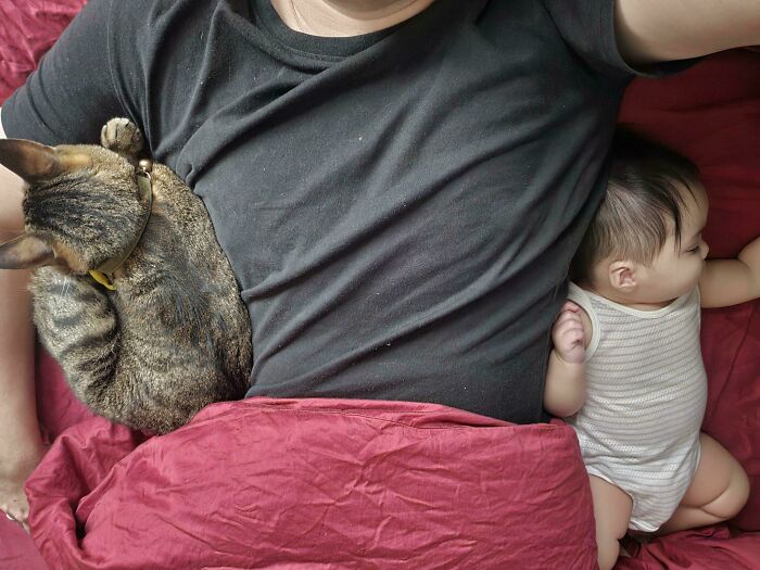 Wholesome dads moment with a dad sleeping next to a baby and a cat