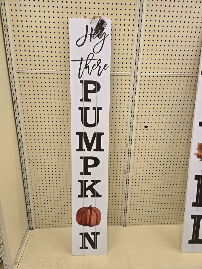 I Cannot See Anything Other Than "Pumpkon"