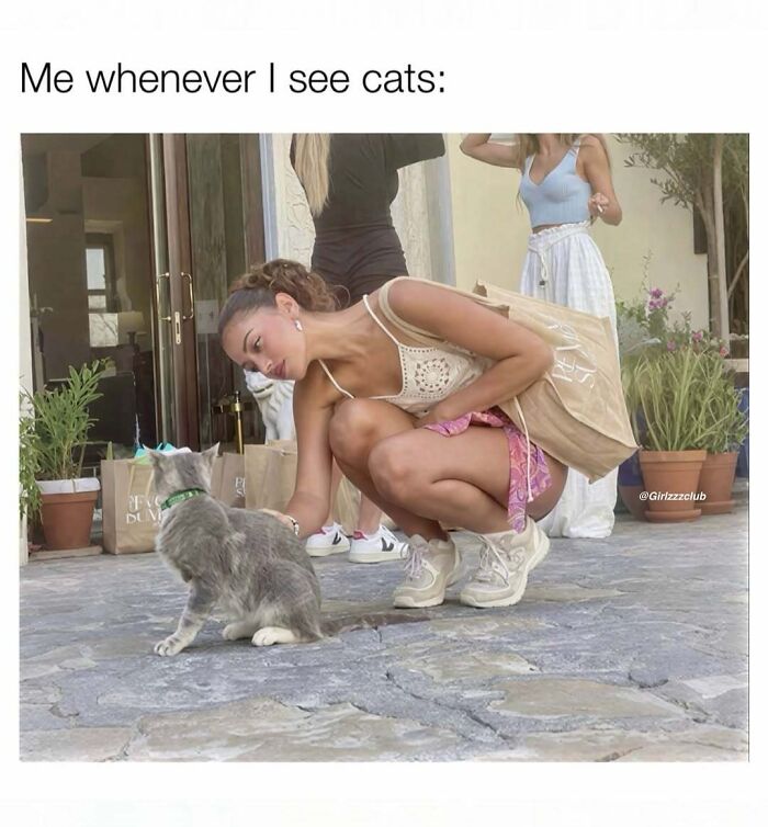 Funny memes about being a woman featuring a girl squatting down to pet a gray cat on the street