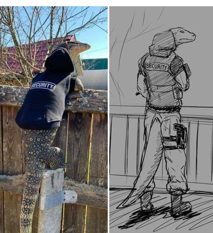 A large lizard wearing a security hoodie, proving adorable animals are on the payroll