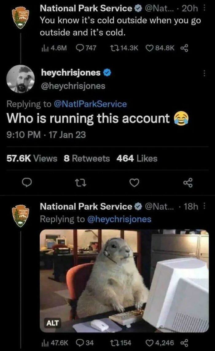 Funny National Park Service tweet showing a marmot with a headset, part of our adorable animals list.