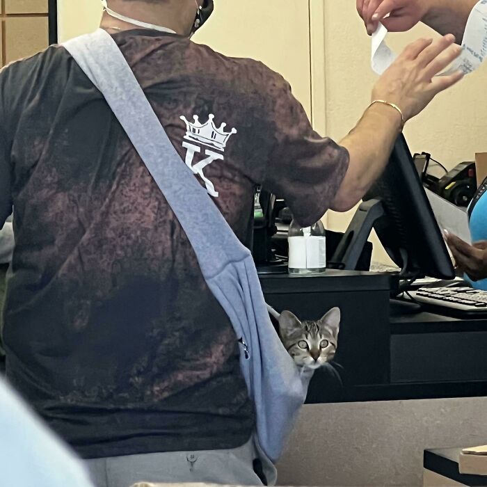 An adorable kitten peeking out of a sling bag while its owner works at a checkout counter