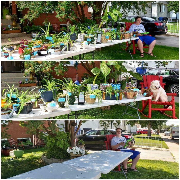 Various scenes of people and adorable animals at a backyard yard sale
