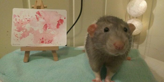 An adorable pet rat standing next to its custom painting on a tiny easel