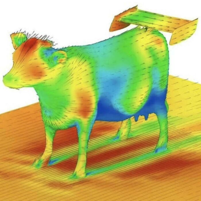 Funny memes showing a multicolored aerodynamic flow simulation of a cow with a rear spoiler.