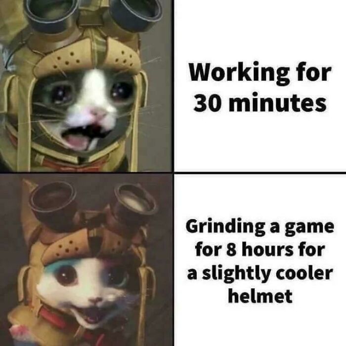 Funny memes with a cat gamer crying during work versus excited while grinding for a slightly cooler helmet.