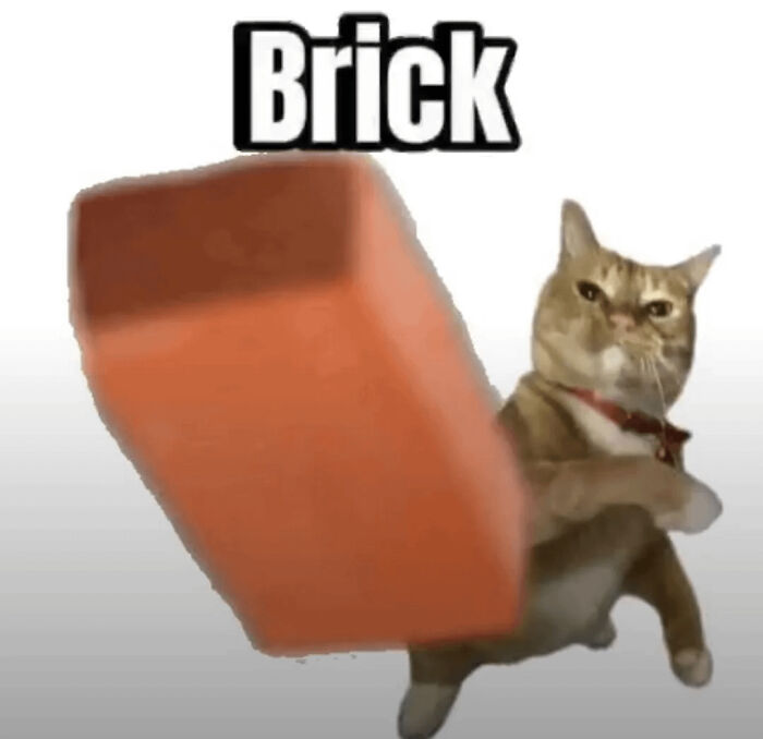 A ginger cat throwing a brick at the viewer in funny memes.