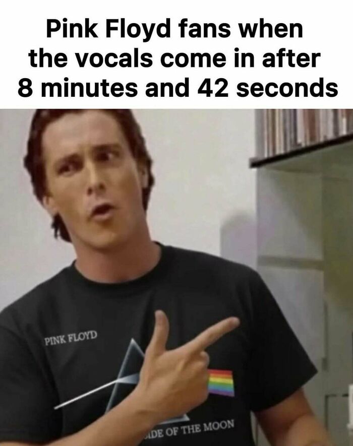Funny memes featuring a man in a Pink Floyd shirt pointing his finger.
