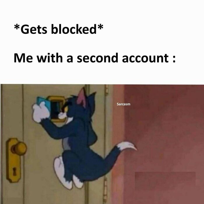 Tom from Tom and Jerry peeking through a door mail slot, representing a funny meme about using a second account.