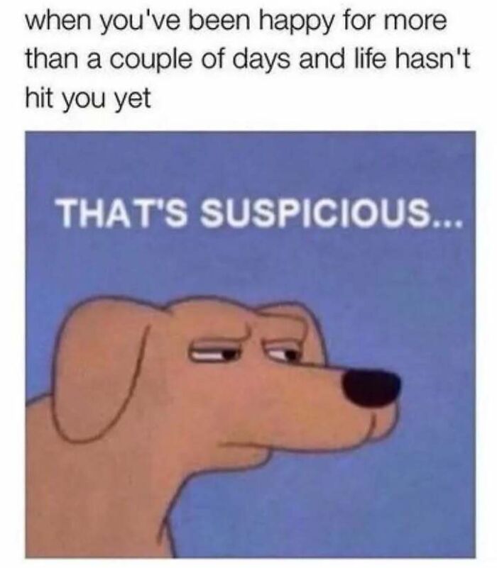 Relatable memes for introverts featuring a suspicious cartoon dog looking sideways