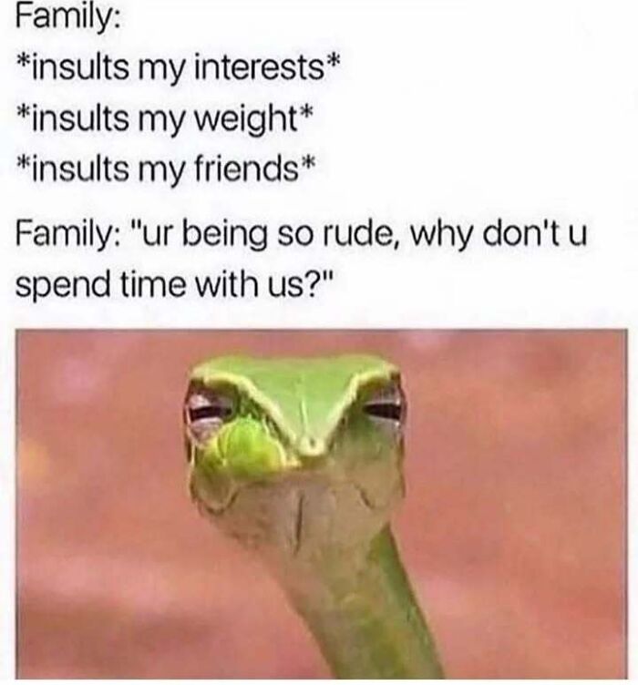 A funny snake making a face representing memes for introverts dealing with family