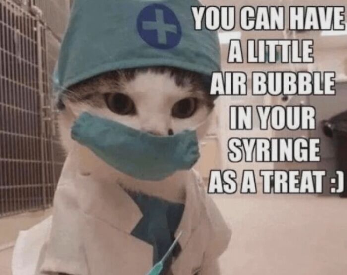 Funny memes with a cute cat dressed as a surgeon with a syringe joke caption