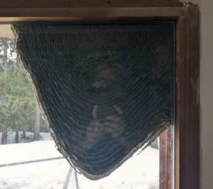 Cool photos showing a broken window pane with layered circular fracture patterns resembling tree rings