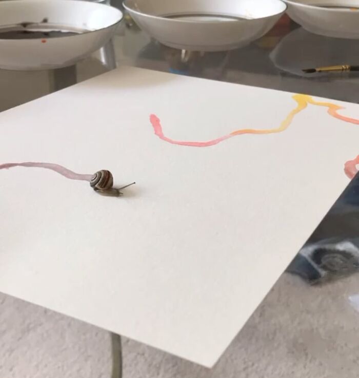 An adorable small snail painting colorful lines on a white canvas
