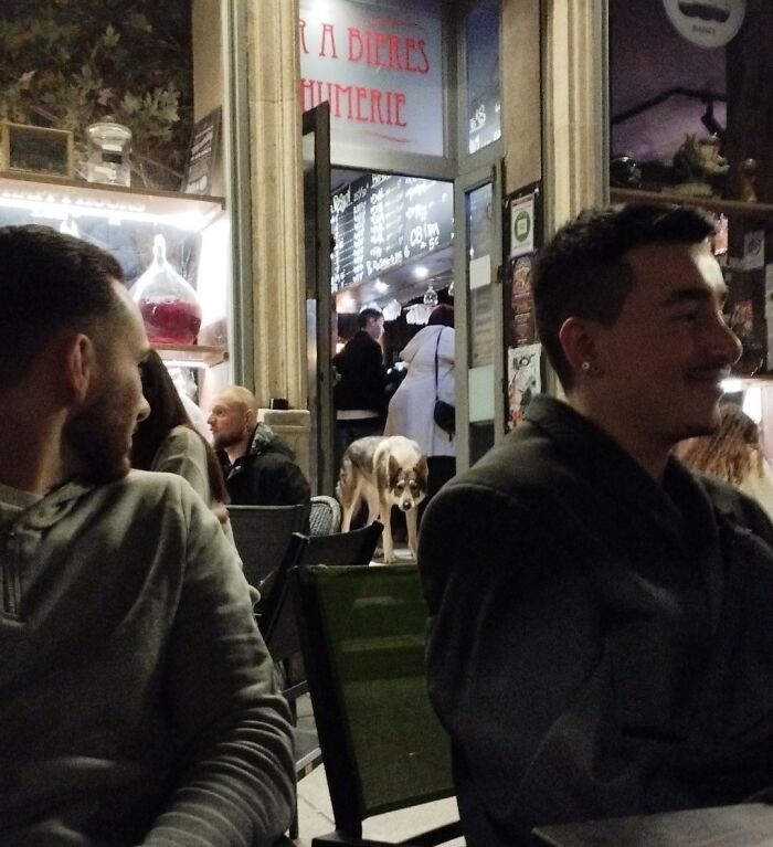 An adorable dog peeking through the doorway of a cozy restaurant