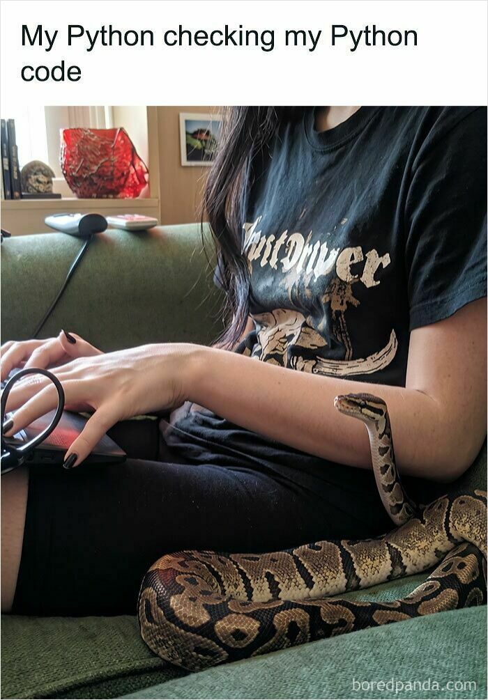 A woman coding on her laptop with a pet python on her arm, showing a unique animal on the payroll
