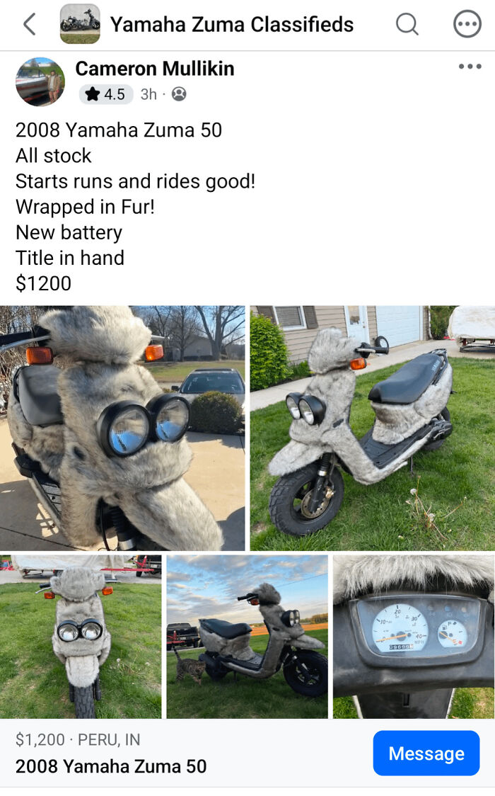 A classified listing for a scooter wrapped in gray fur, one of many awful creations that are far too well made.