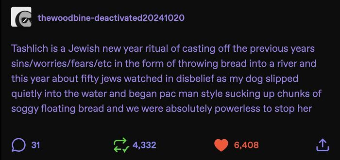 Funny and random posts from Tumblr about a dog eating bread during a Tashlich ritual in a river.