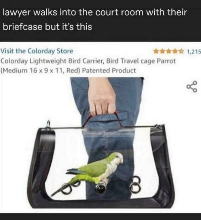 Funny and random posts meme of a green parrot inside a clear travel bag like a briefcase.