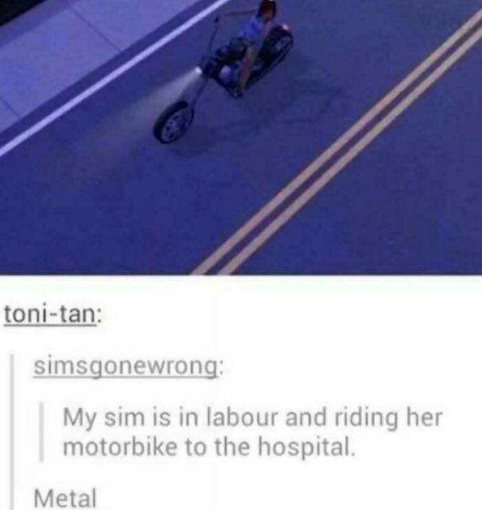 Funny and random posts from Tumblr about a pregnant Sim riding a motorcycle.