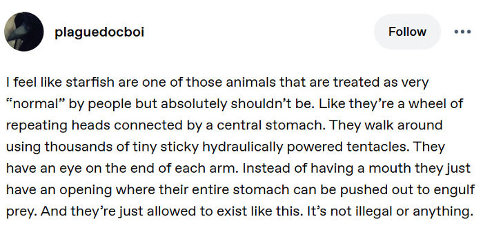 Funny and random posts from Tumblr about starfish biology.